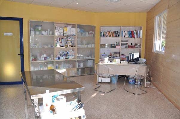 ​Centro Veterinario Villacañas​ consulta veterinaria