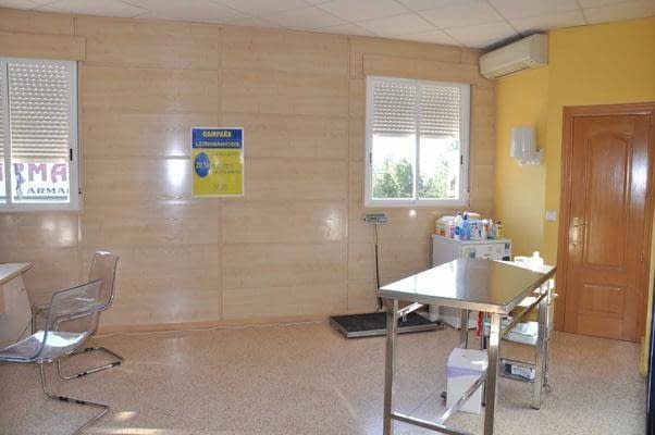 ​Centro Veterinario Villacañas​ consulta 